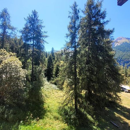 Le Lodge Des Marmottes - Calme, Cosy, Vue Nature Les Orres Extérieur photo